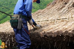 茅屋根の葺き替え作業